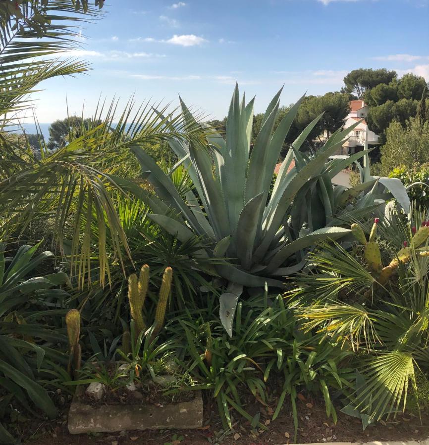 Calanque Appartement