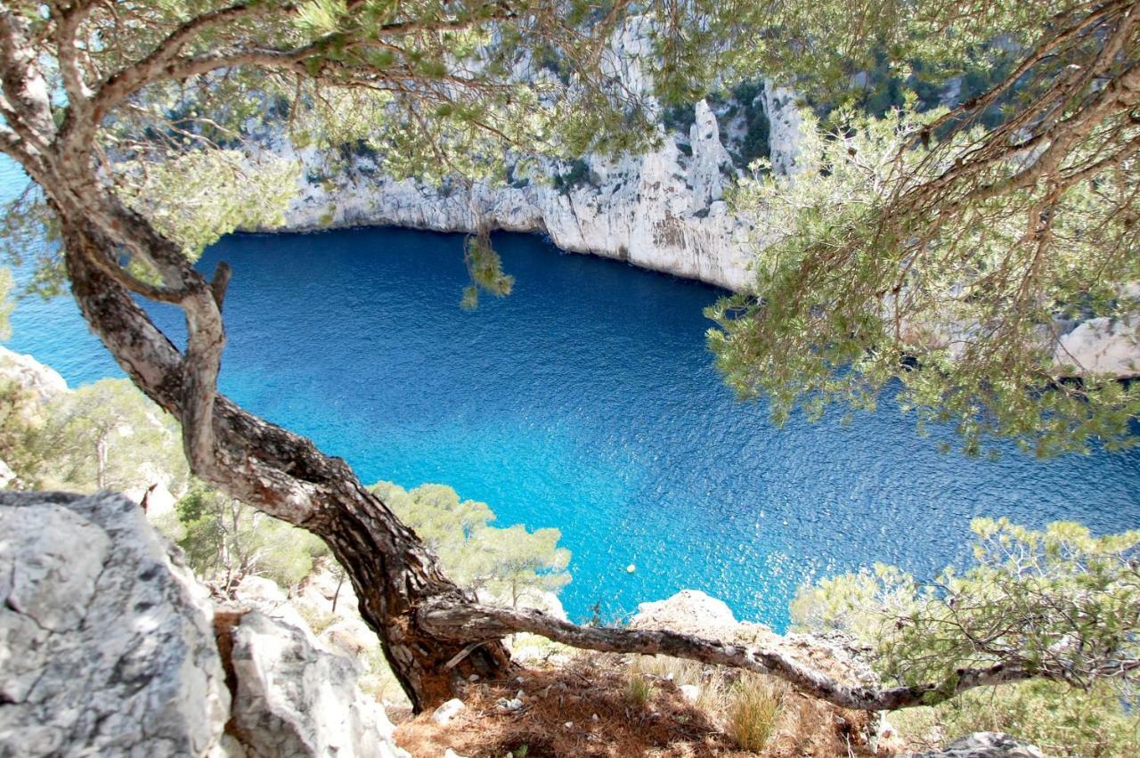 Apartment Calanque